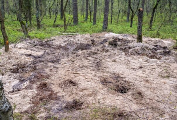 Azonosítatlan katonai objektum maradványaira bukkantak Lengyelországban