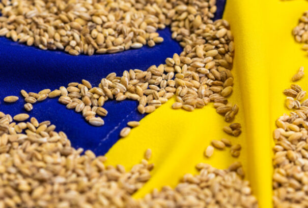 Magyarország megtiltja a mezőgazdasági termékek importját Ukrajnából