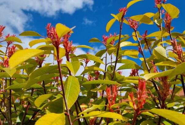 Áprilisi kikapcsolódás – képekkel