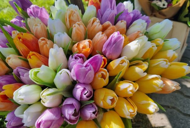 Nagy sikert aratott az első termelői vásár Légen (Képekkel)