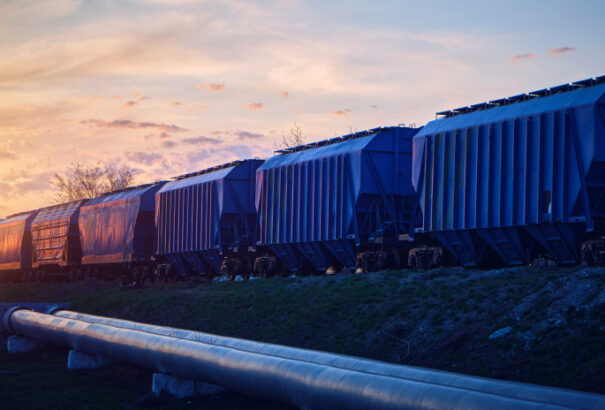 NAV: nem haladhat át gabonaszállítmány Magyarországon ellenőrzés nélkül