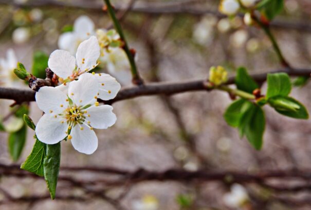 Továbbra is marad a hűvös, szeles idő