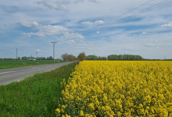 A hét második felében az ország délnyugati részében megnövekszik a felhőzet és ott eső, zápor is lehet