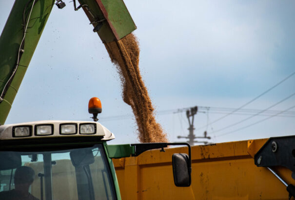 A kormány korlátozza az ukrán gabonára vonatkozó tiltást