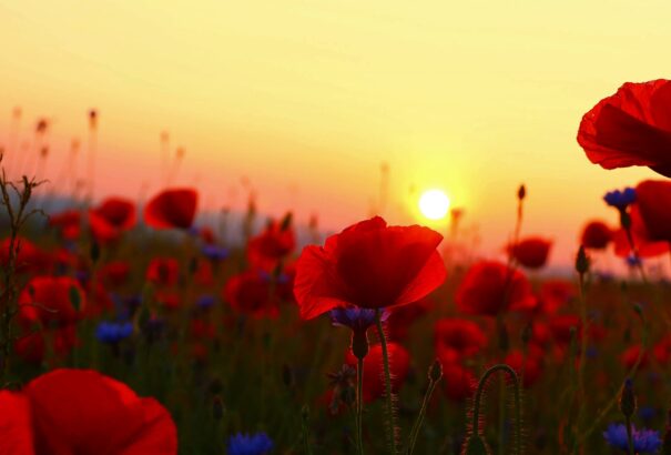 Országszerte napos, gomolyfelhős idő lesz csütörtökön