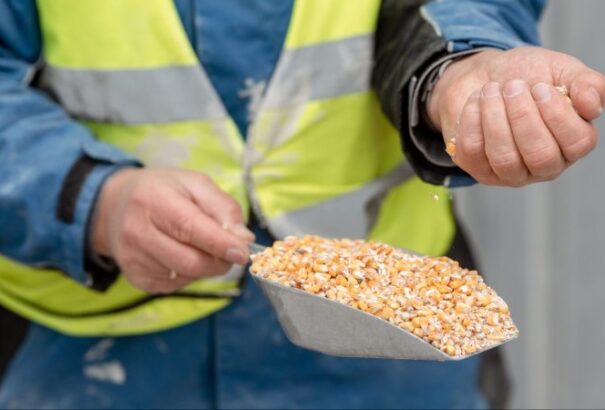 Amíg Magyarország nem függeszti fel az egyoldalú tilalmát, a szlovák gazdáknak szánt támogatást nem fizetik ki