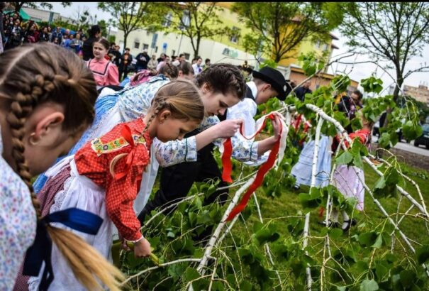 Színpompás májfák díszítik a Csallóközt – Képekkel