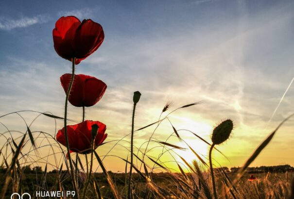 Hétfőn is folytatódik a nyárias meleg