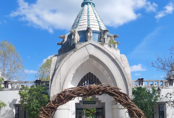 Már látható az újszülött zebracsikó a fővárosi állatkertben – Képekkel