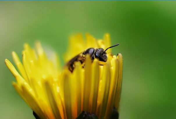 Előrejelzés: Talaj menti fagyok jöhetnek