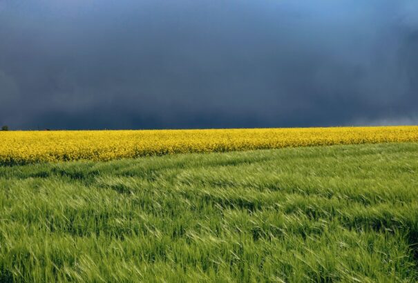 Eső, eső, eső – A csapadék java még csak ezután érkezik