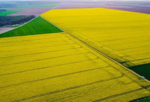 A hét legszebb napja vár ránk
