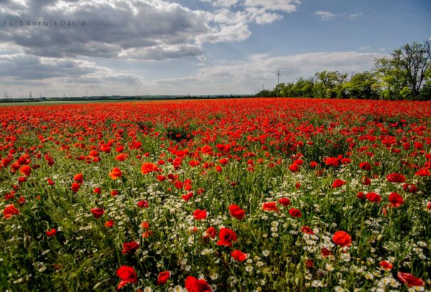 Gomolyfelhőkkel tarkított, de többnyire napos idő ígérkezik szombaton