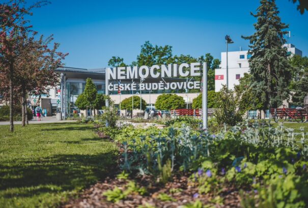 Macsetával támadt egy férfi a kórházi személyzetre Csehországban