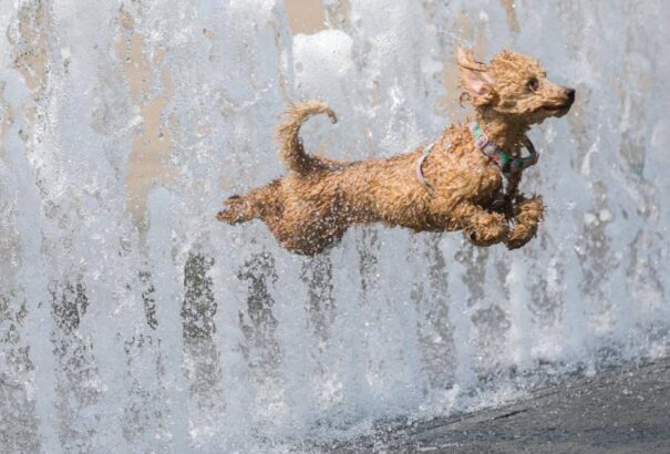 Hétfőtől berobban az igazi nyár és vele együtt a hőhullámok is