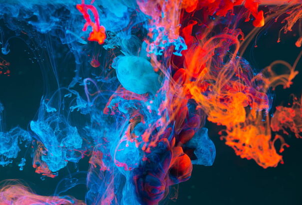 Kerepesi Igor: Novum 08 – Menedékem