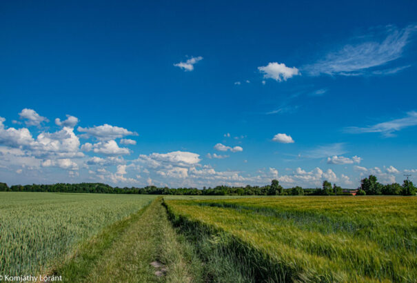 Napos és meleg idővel indul a nyár