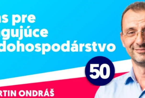 A PPA-t érintő NAKA-razziában a progresszívok képviselőjelöltjét is őrizetbe vették