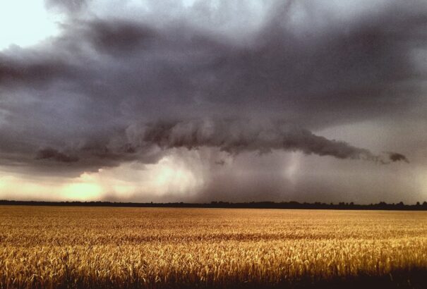 Délelőtt maradnak a felhők és a zivatarok, de délutánra kisüthet a nap
