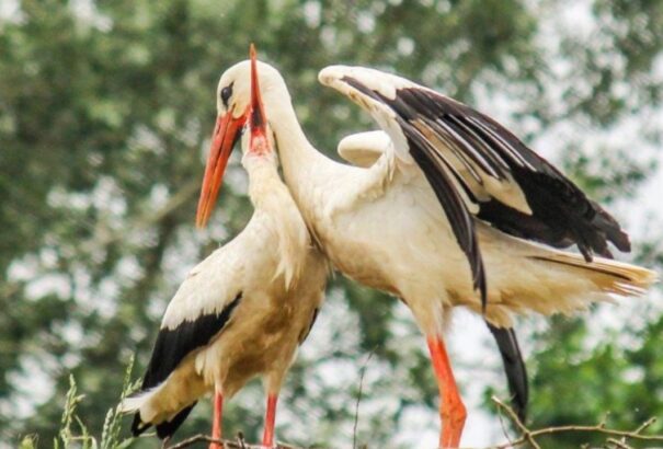 Szárazabb és naposabb idővel indul a jövő hét