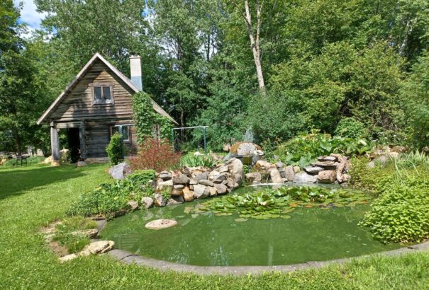 Észtország tájain 4. – A természet örök szépsége