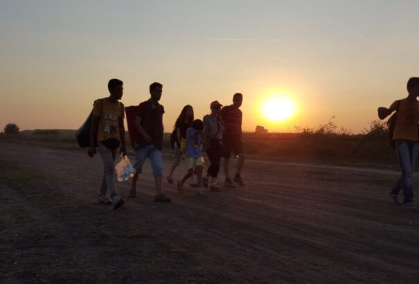 Micskó András: Egy (két) mondat a migrációról