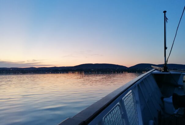 Kerepesi Igor: Novum 09 – Köszönet