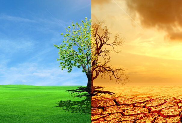 Kerepesi Igor: Novum 10 – Fuss!