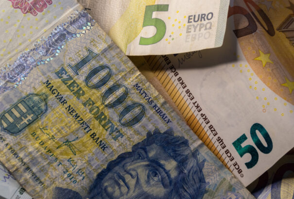 Az euró mielőbbi bevezetését szeretnék a magyarok, bár tudják, hogy ez most lehetetlen