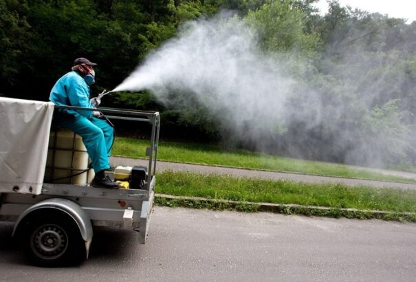 Megeszik a szúnyogok az embereket? Van megoldás a szúnyogirtásra a Csallóközben is