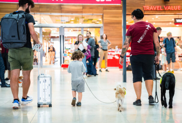Stresszoldó kutyák teljesítenek szolgálatot a berlini repülőtéren