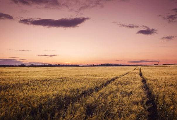 Trópusi nappal után trópusi éjszaka volt Szlovákiában