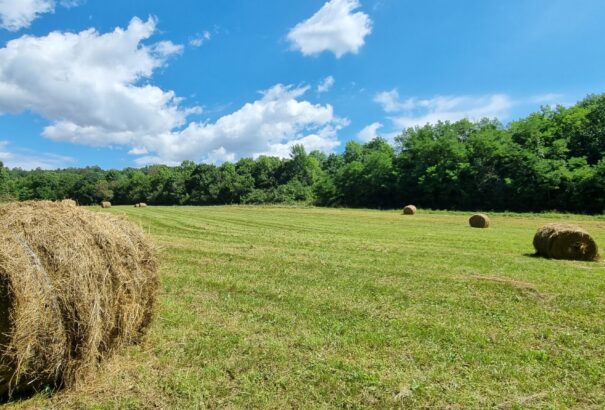 Esős, borult lesz a kedd időjárása