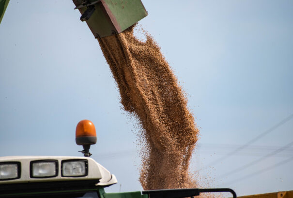 Közép-Európa egyelőre kitart: feltartóztatnák az ukrán gabonadömpinget