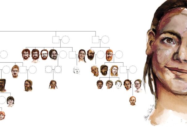 Több ezer éves családfákat rekonstruáltak