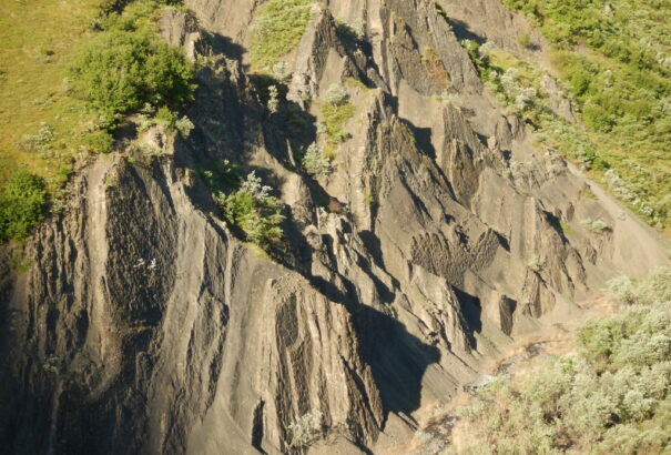 Dinó-lábnyomok Alaszkában