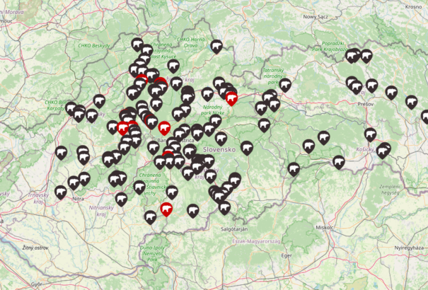 Fél a medvével való találkozástól? Egy interaktív térkép segít elkerülni a fenevadat