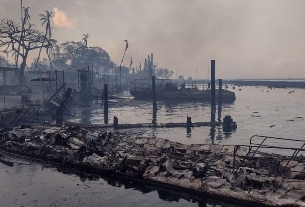 Rendkívüli hír: Már legalább 36 halálos áldozata van az erdőtűznek a Hawaii-szigeteken – Videókkal