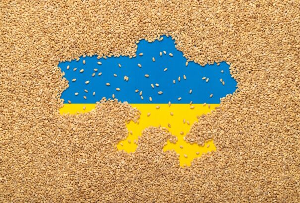 Mi lesz a learatott ukrán gabona sorsa?