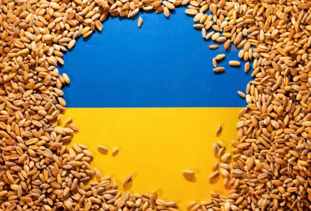 Lengyelország fenntartja az ukrán mezőgazdasági termékek embargóját