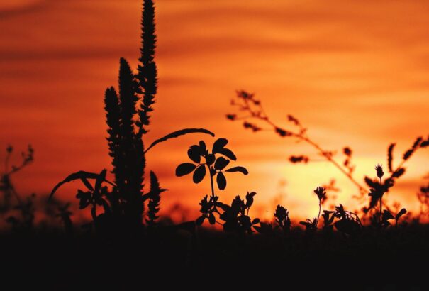 Továbbra is marad a szeptemberi nyár