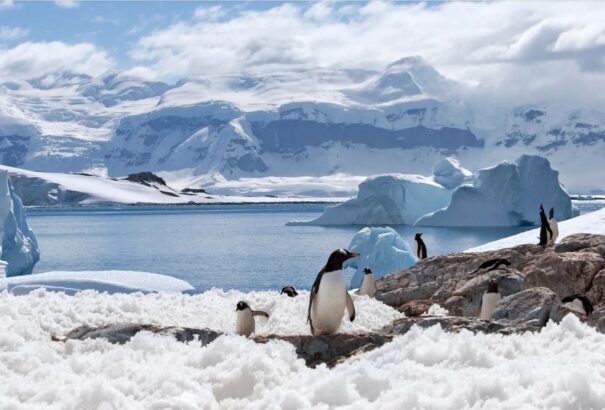 Újabb negatív rekord az Antarktiszon, a tudósok szerint a legrosszabb forgatókönyv zajlik