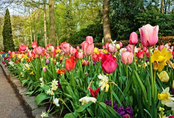 Kreatív kerti szegélyek