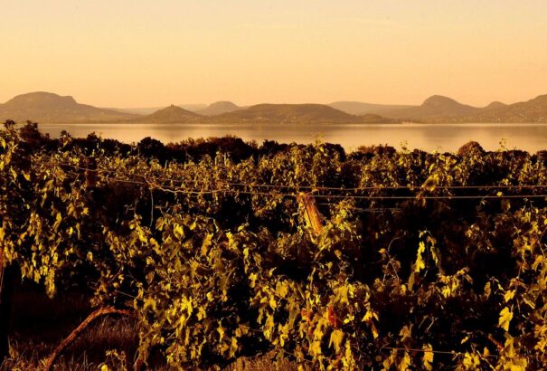 Napos idővel indul a hét