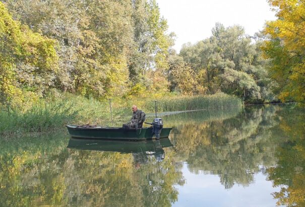 Lenyűgöző természetfilmet vetítenek a mozikban az 50 éves Tisza-tóról