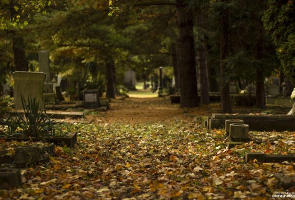Kellemes, napos idővel zárul a hét
