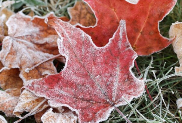 Vasárnap érkezik a lehűlés. Az erős szél mellett néhol fagyhat is
