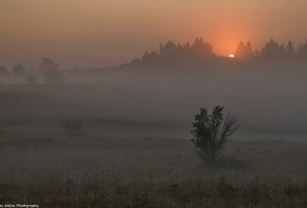 Időjárás-előrejelzés: Hőmérséklei sokk jön, és szót kér magának az ősz