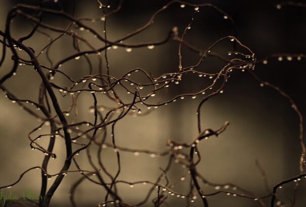 Borult, esős idővel zárul a munkahét