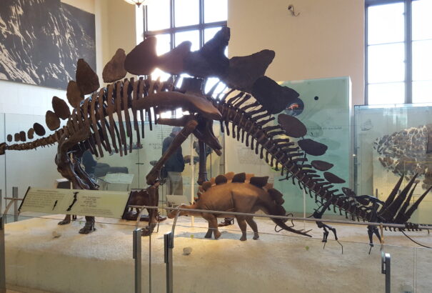 Tudósok állítják: ma is élhetnek dinoszauruszok, persze nem a Földön – de akkor hol?